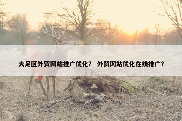 大足区外贸网站推广优化？ 外贸网站优化在线推广？