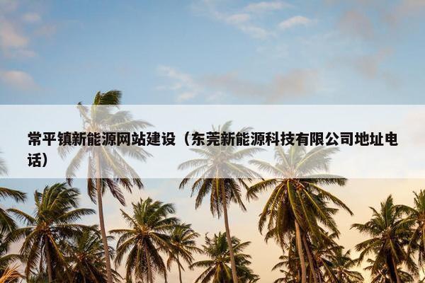 常平镇新能源网站建设（东莞新能源科技有限公司地址电话）
