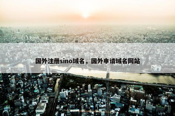 国外注册sino域名，国外申请域名网站