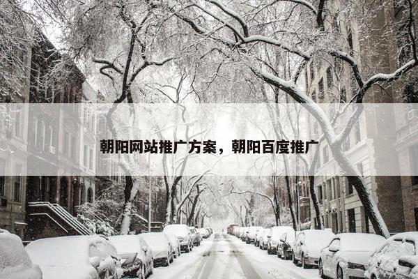 朝阳网站推广方案，朝阳百度推广