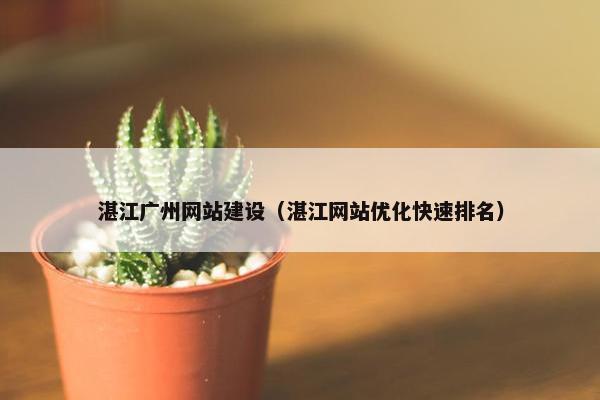 湛江广州网站建设（湛江网站优化快速排名）