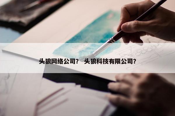 头狼网络公司？ 头狼科技有限公司？