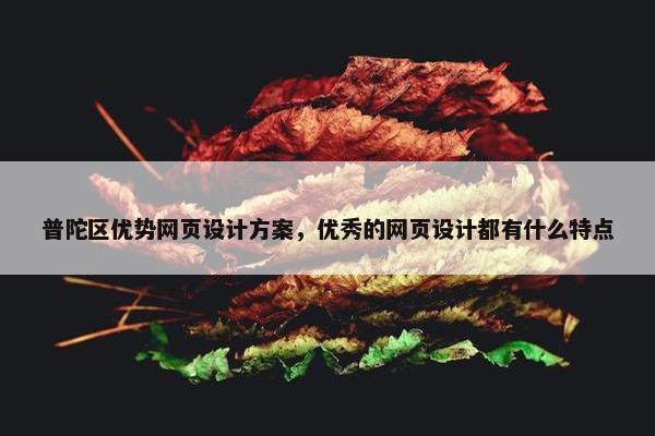 普陀区优势网页设计方案，优秀的网页设计都有什么特点