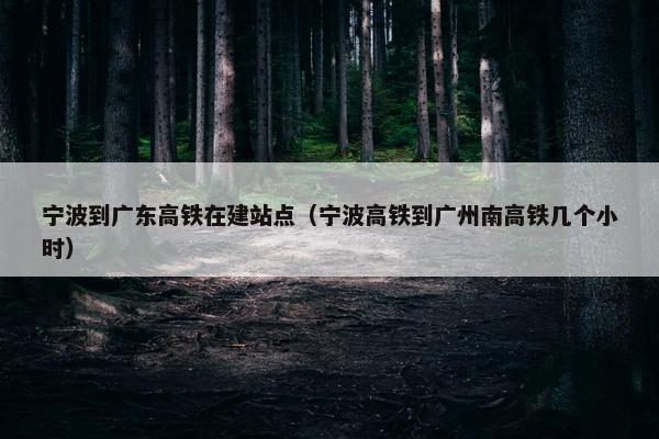 宁波到广东高铁在建站点（宁波高铁到广州南高铁几个小时）