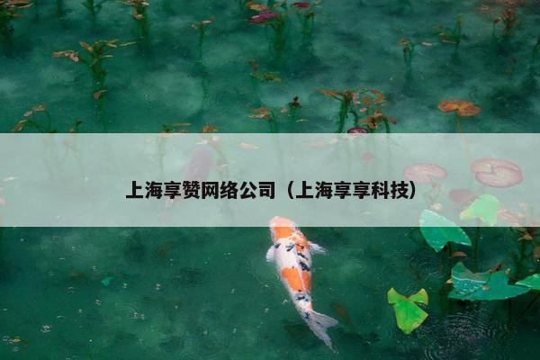 上海享赞网络公司（上海享享科技）