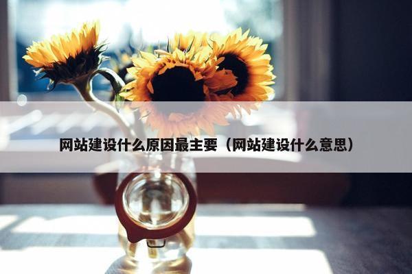 网站建设什么原因最主要（网站建设什么意思）