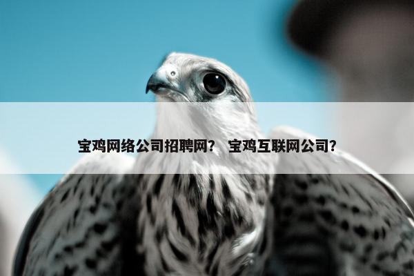 宝鸡网络公司招聘网？ 宝鸡互联网公司？
