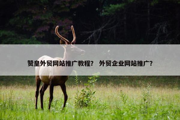 赞皇外贸网站推广教程? 外贸企业网站推广? 赞皇外贸网站推广教程? 外贸企业网站推广?