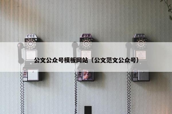 公文公众号模板网站（公文范文公众号）
