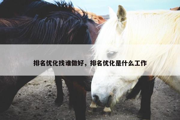 排名优化找谁做好，排名优化是什么工作