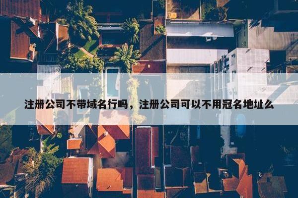 注册公司不带域名行吗，注册公司可以不用冠名地址么