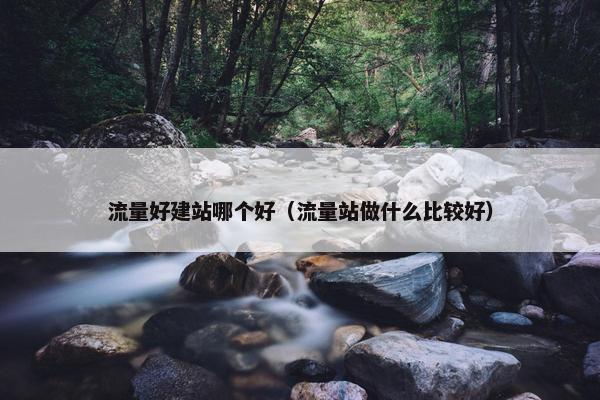 流量好建站哪个好（流量站做什么比较好）