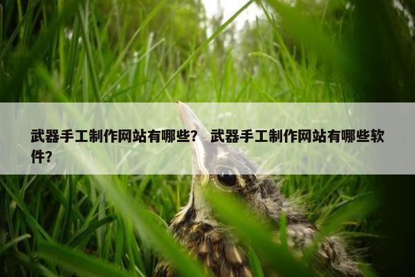 武器手工制作网站有哪些？ 武器手工制作网站有哪些软件？