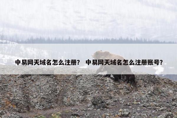 中易网天域名怎么注册？ 中易网天域名怎么注册账号？
