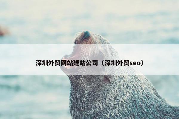 深圳外贸网站建站公司（深圳外贸seo）