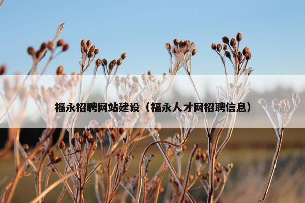 福永招聘网站建设（福永人才网招聘信息）