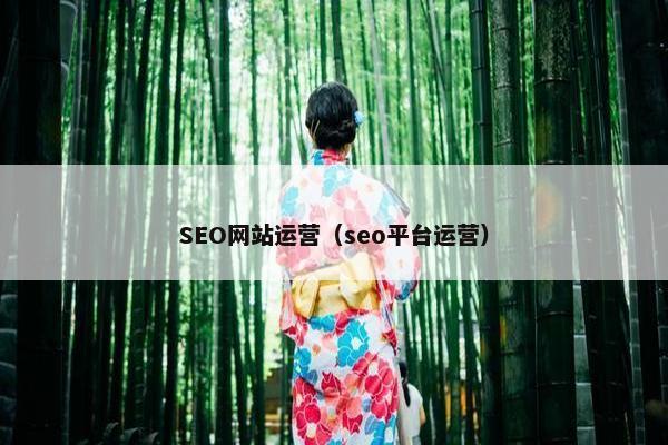 SEO网站运营（seo平台运营）