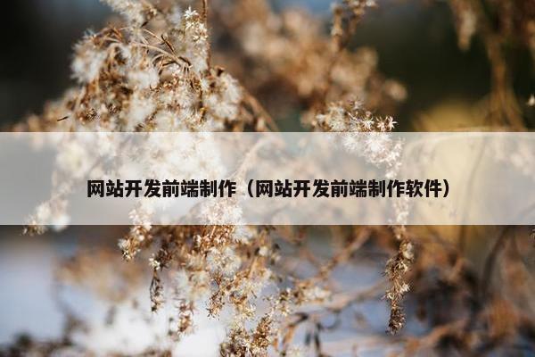 网站开发前端制作（网站开发前端制作软件）