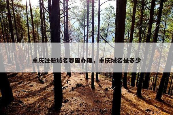 重庆注册域名哪里办理，重庆域名是多少