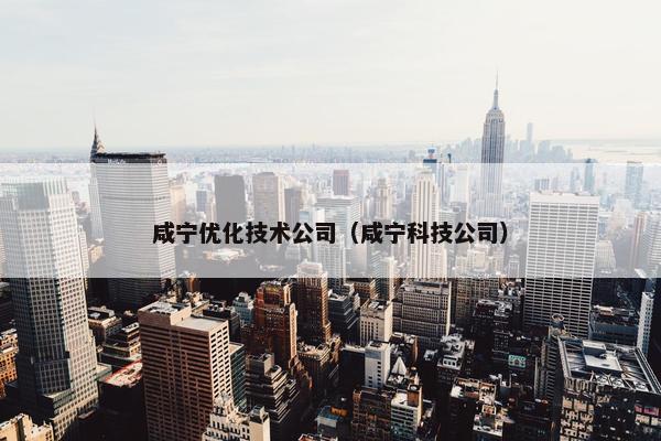 咸宁优化技术公司（咸宁科技公司）