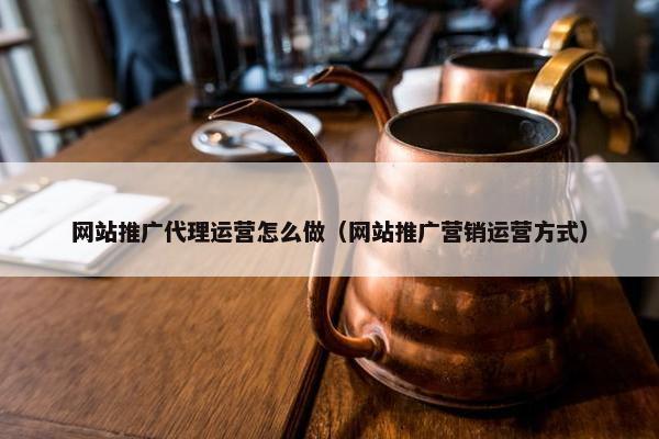 网站推广代理运营怎么做（网站推广营销运营方式）