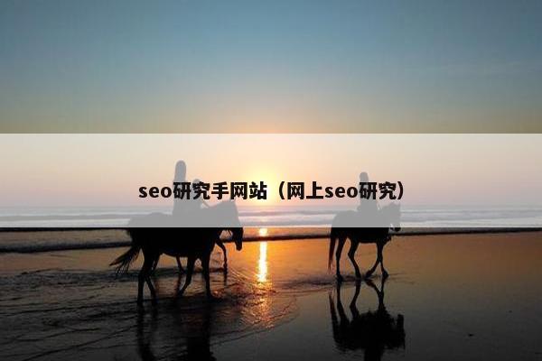 seo研究手网站（网上seo研究）
