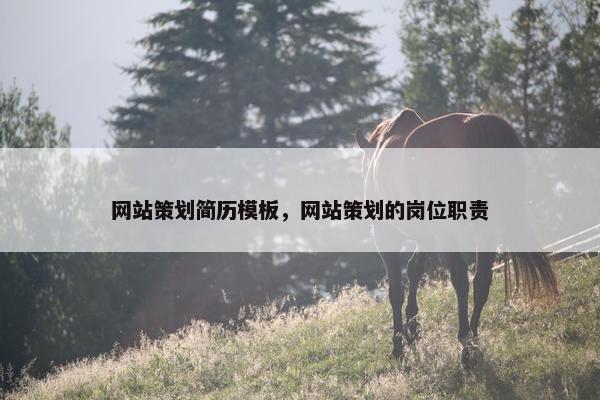 网站策划简历模板，网站策划的岗位职责