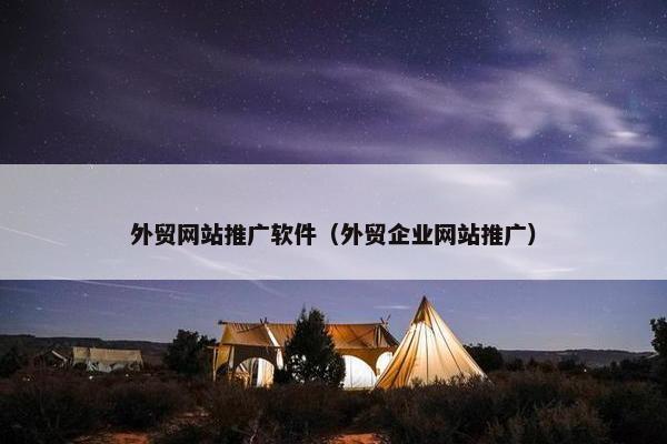 外贸网站推广软件（外贸企业网站推广）