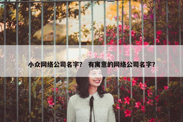 小众网络公司名字？ 有寓意的网络公司名字？