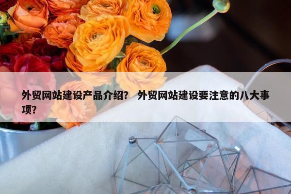 外贸网站建设产品介绍？ 外贸网站建设要注意的八大事项？