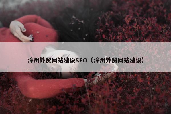 漳州外贸网站建设SEO（漳州外贸网站建设）