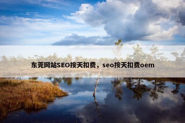 东莞网站SEO按天扣费，seo按天扣费oem