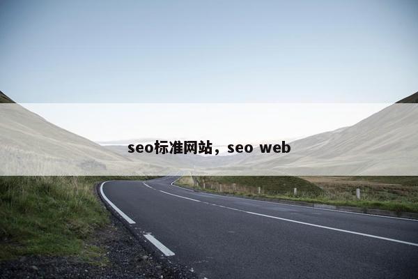 seo标准网站，seo web