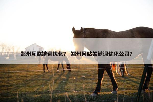 郑州互联键词优化？ 郑州网站关键词优化公司？
