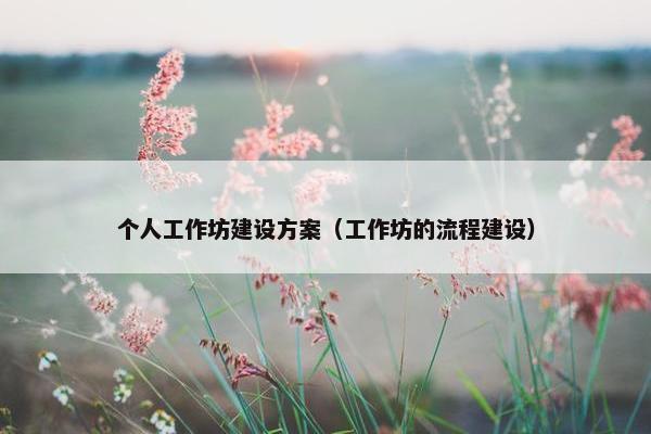 个人工作坊建设方案（工作坊的流程建设）
