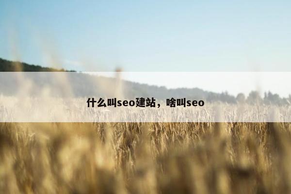 什么叫seo建站，啥叫seo