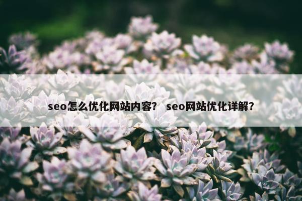 seo怎么优化网站内容？ seo网站优化详解？