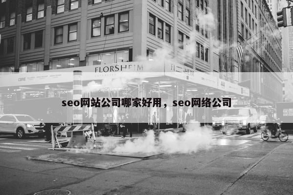 seo网站公司哪家好用，seo网络公司
