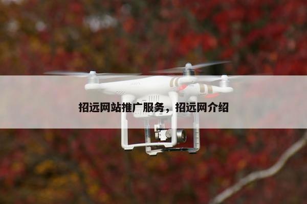 招远网站推广服务，招远网介绍