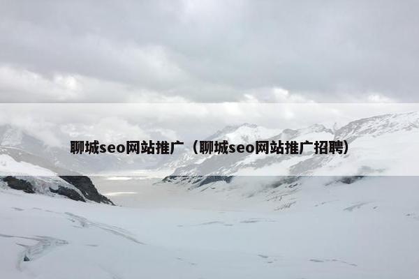聊城seo网站推广（聊城seo网站推广招聘）