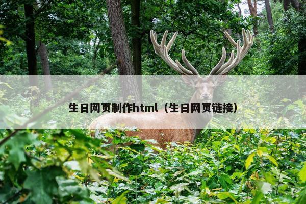 生日网页制作html（生日网页链接）