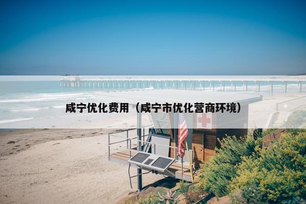 咸宁优化费用（咸宁市优化营商环境）