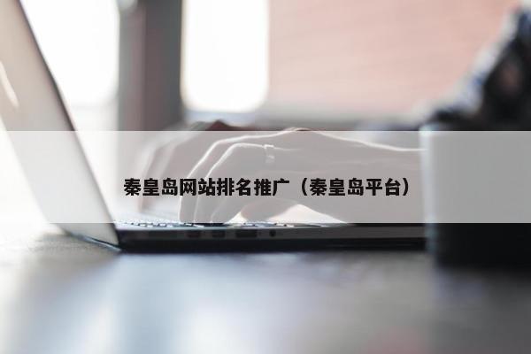 秦皇岛网站排名推广（秦皇岛平台）