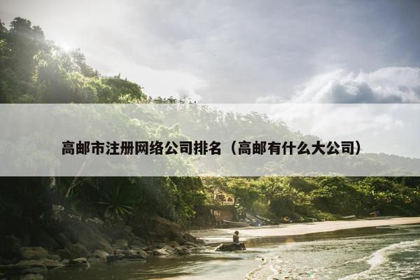 高邮市注册网络公司排名（高邮有什么大公司）