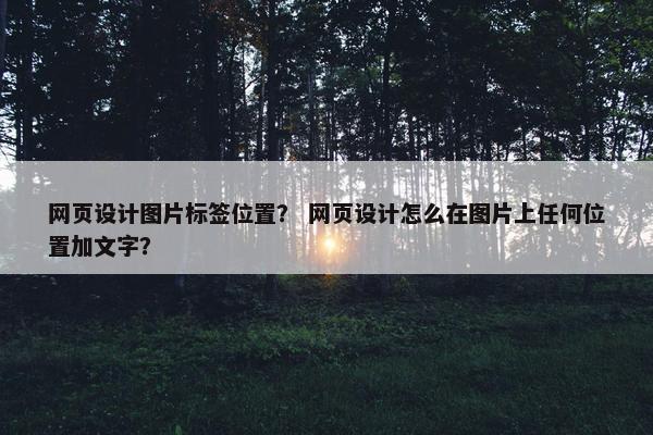 网页设计图片标签位置？ 网页设计怎么在图片上任何位置加文字？