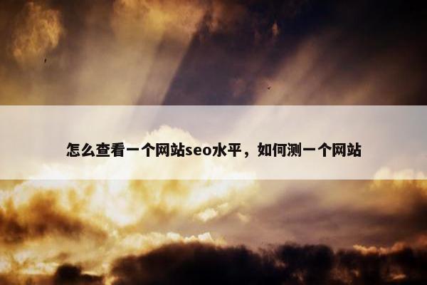 怎么查看一个网站seo水平，如何测一个网站
