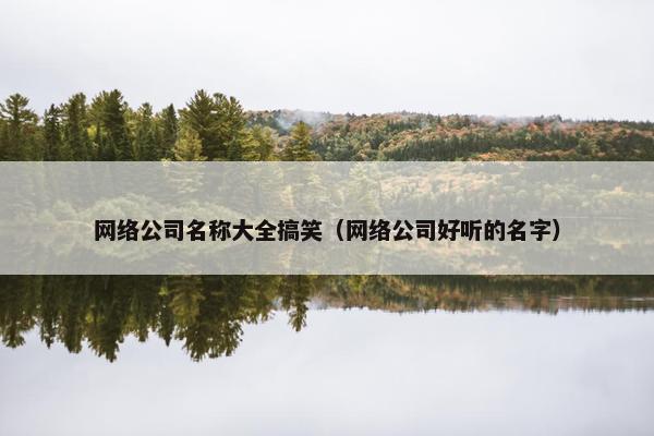 网络公司名称大全搞笑（网络公司好听的名字）
