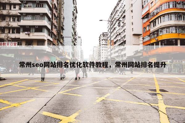 常州seo网站排名优化软件教程，常州网站排名提升