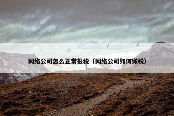 网络公司怎么正常报税（网络公司如何缴税）