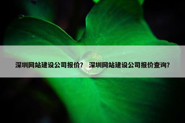 深圳网站建设公司报价？ 深圳网站建设公司报价查询？